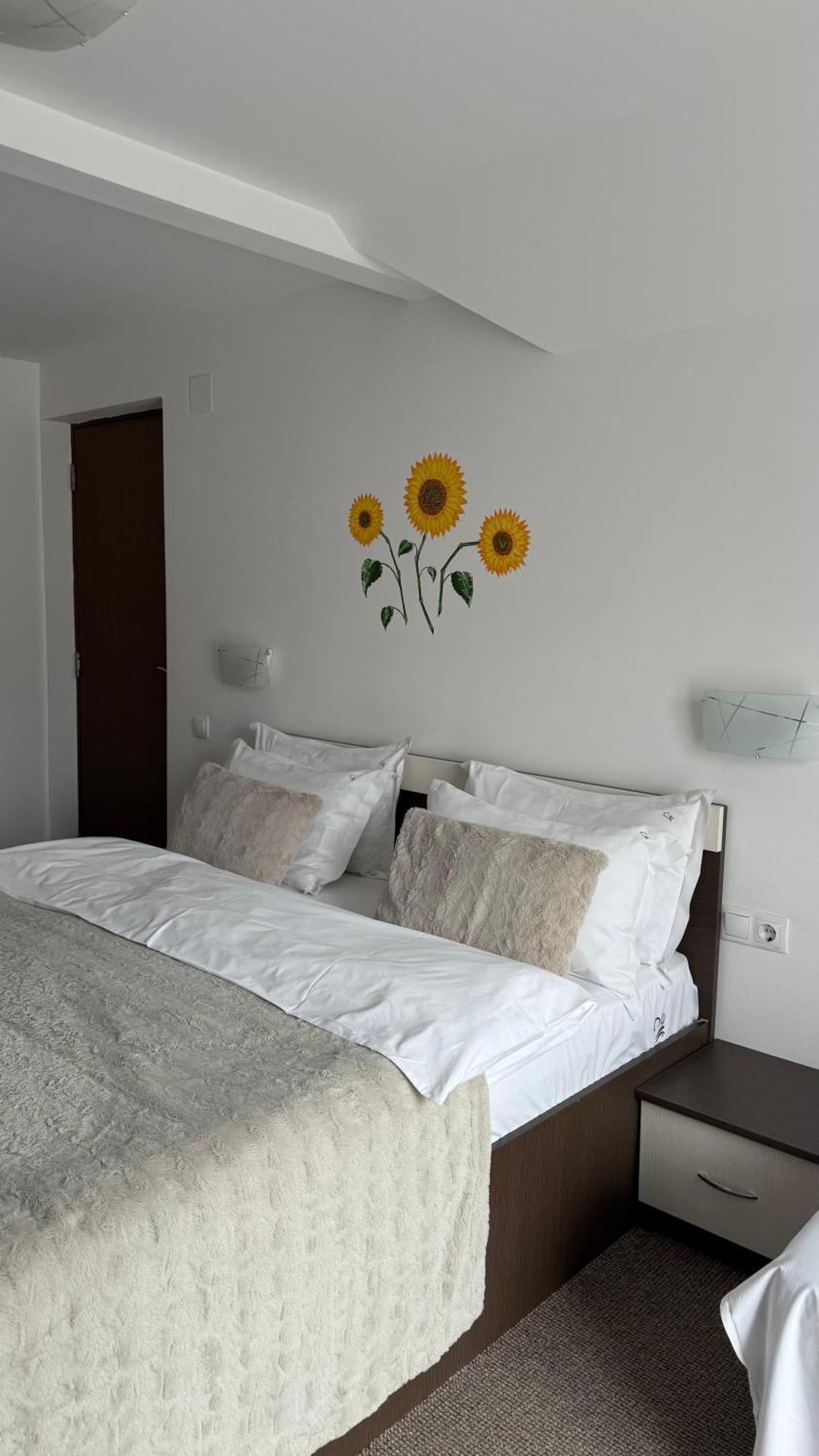 Casa Mia Hotel Моечу де Жос Екстериор снимка